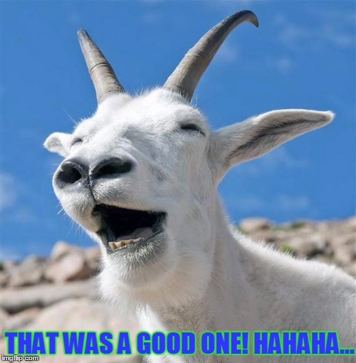 Laughing Goat | THAT WAS A GOOD ONE! HAHAHA... | image tagged in memes,laughing goat | made w/ Imgflip meme maker
