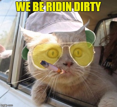 Fear And Loathing Cat Meme | WE BE RIDIN DIRTY | image tagged in memes,fear and loathing cat | made w/ Imgflip meme maker