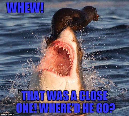 Travelonshark | WHEW! THAT WAS A CLOSE ONE! WHERE'D HE GO? | image tagged in memes,travelonshark | made w/ Imgflip meme maker
