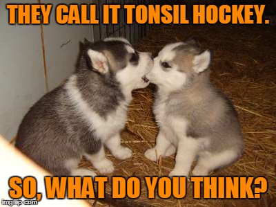 Cute Puppies Meme | THEY CALL IT TONSIL HOCKEY. SO, WHAT DO YOU THINK? | image tagged in memes,cute puppies | made w/ Imgflip meme maker