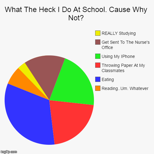 image tagged in funny,pie charts | made w/ Imgflip chart maker