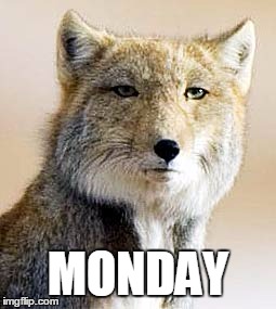Monday | MONDAY | image tagged in monday | made w/ Imgflip meme maker