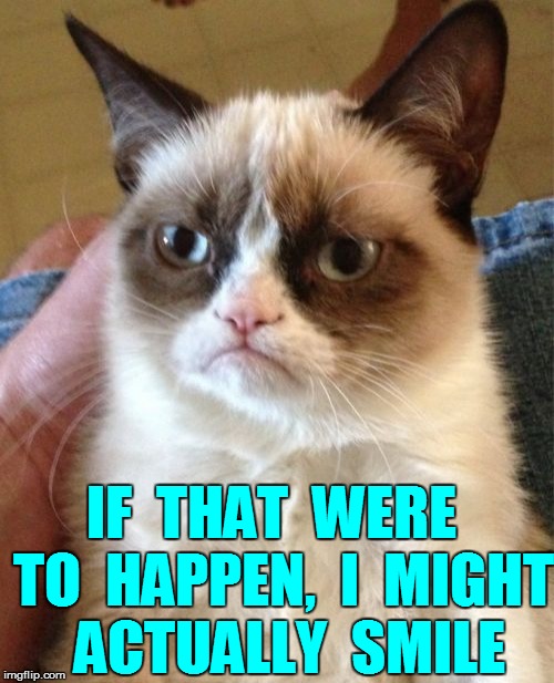 Grumpy Cat Meme | IF  THAT  WERE  TO  HAPPEN,  I  MIGHT  ACTUALLY  SMILE | image tagged in memes,grumpy cat | made w/ Imgflip meme maker