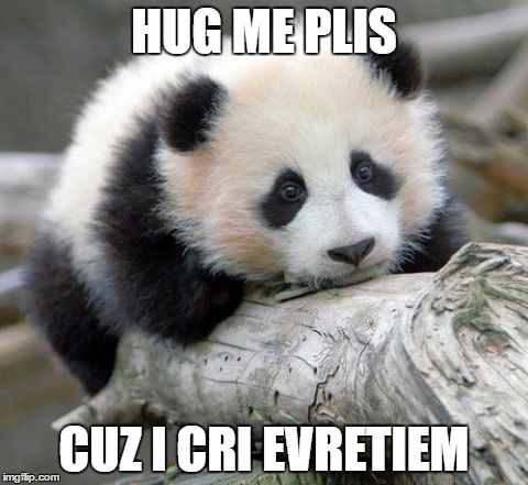 Sad Panda Work Meme | HUG ME PLIS; CUZ I CRI EVRETIEM | image tagged in sad panda work meme | made w/ Imgflip meme maker
