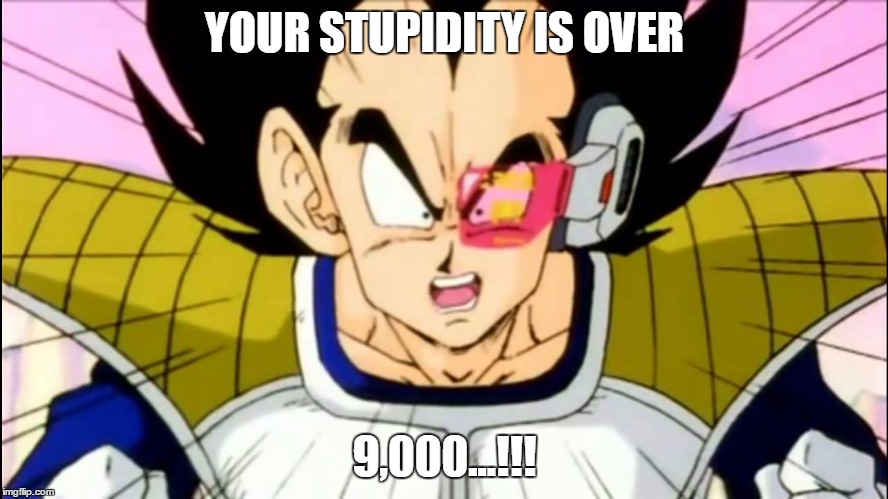 YOUR STUPIDITY IS OVER; 9,000...!!! | image tagged in your stupidity | made w/ Imgflip meme maker