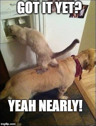Smart animals | GOT IT YET? YEAH NEARLY! | image tagged in smart animals | made w/ Imgflip meme maker