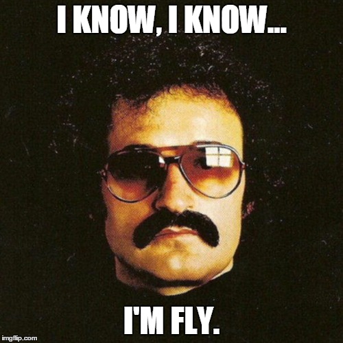 I'm fly. | I KNOW, I KNOW... I'M FLY. | image tagged in giorgio moroder cool mustache,funny | made w/ Imgflip meme maker