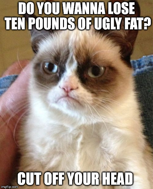 Grumpy Cat | DO YOU WANNA LOSE TEN POUNDS OF UGLY FAT? CUT OFF YOUR HEAD | image tagged in memes,grumpy cat | made w/ Imgflip meme maker