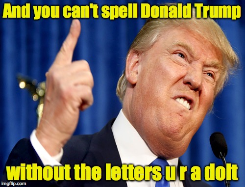 And you can't spell Donald Trump without the letters u r a dolt | made w/ Imgflip meme maker