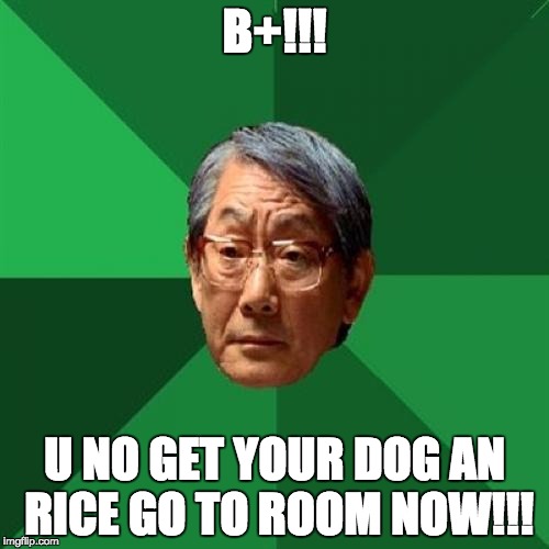 High Expectations Asian Father | B+!!! U NO GET YOUR DOG AN RICE GO TO ROOM NOW!!! | image tagged in memes,high expectations asian father | made w/ Imgflip meme maker