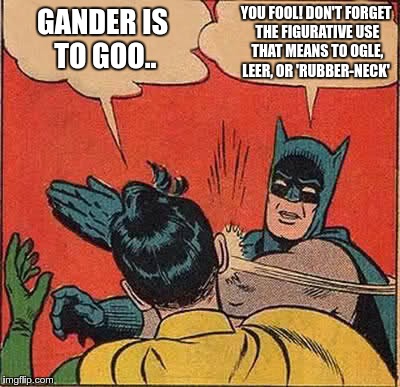 Batman Slapping Robin Meme | GANDER IS TO GOO.. YOU FOOL! DON'T FORGET THE FIGURATIVE USE THAT MEANS TO OGLE, LEER, OR 'RUBBER-NECK' | image tagged in memes,batman slapping robin | made w/ Imgflip meme maker