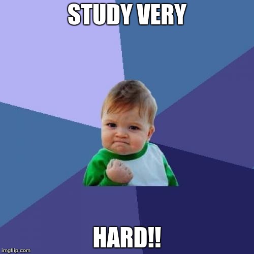 Success Kid | STUDY VERY; HARD!! | image tagged in memes,success kid | made w/ Imgflip meme maker