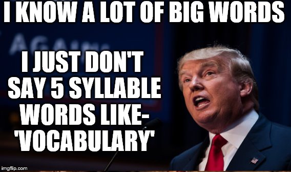 big words | I KNOW A LOT OF BIG WORDS; I JUST DON'T SAY 5 SYLLABLE WORDS LIKE- 'VOCABULARY' | image tagged in trump | made w/ Imgflip meme maker