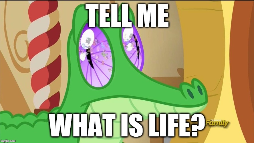 TELL ME | TELL ME; WHAT IS LIFE? | image tagged in brony,my little pony,pegasister,bronies | made w/ Imgflip meme maker