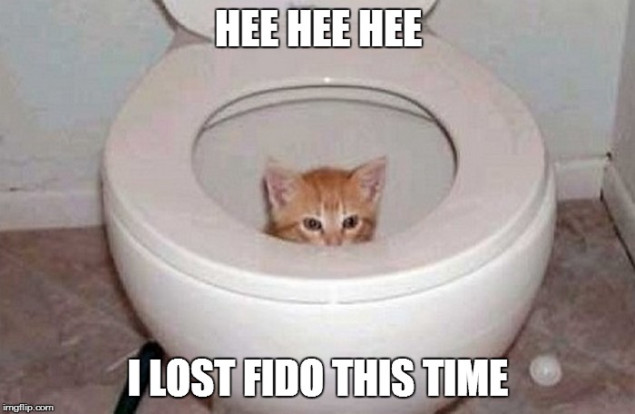 HEE HEE HEE; I LOST FIDO THIS TIME | image tagged in catintoilet | made w/ Imgflip meme maker