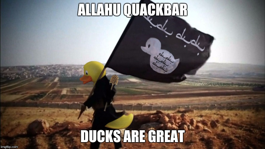 ISIS Duck Squad | ALLAHU QUACKBAR; DUCKS ARE GREAT | image tagged in isis,ducks,rekt | made w/ Imgflip meme maker