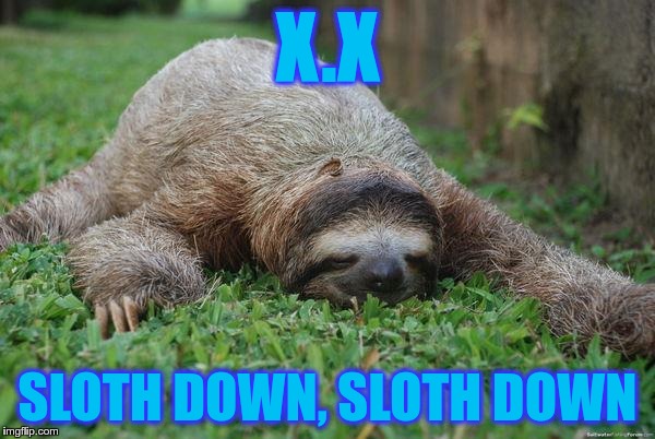 narcolepsy sloth | X.X SLOTH DOWN, SLOTH DOWN | image tagged in narcolepsy sloth | made w/ Imgflip meme maker