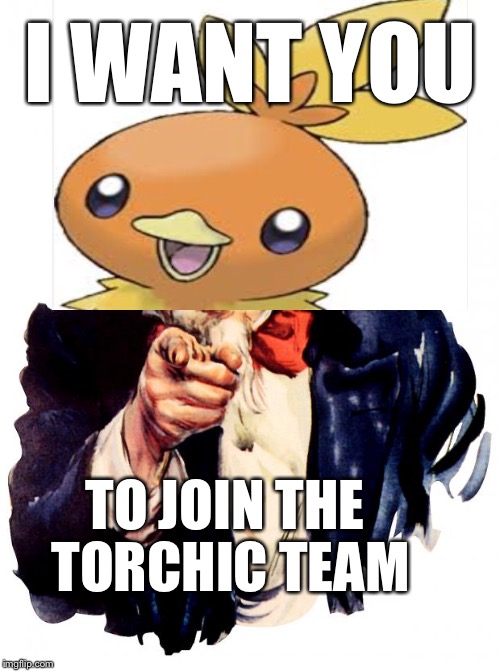 Do as the meme says | I WANT YOU; TO JOIN THE TORCHIC TEAM | image tagged in i want you,pokemon,meme war,angry torchic | made w/ Imgflip meme maker