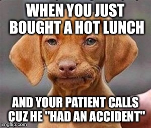 Frustrated dog | WHEN YOU JUST BOUGHT A HOT LUNCH; AND YOUR PATIENT CALLS CUZ HE "HAD AN ACCIDENT" | image tagged in frustrated dog | made w/ Imgflip meme maker