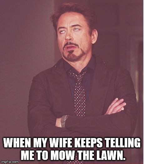 Face You Make Robert Downey Jr Meme | WHEN MY WIFE KEEPS TELLING ME TO MOW THE LAWN. | image tagged in memes,face you make robert downey jr | made w/ Imgflip meme maker