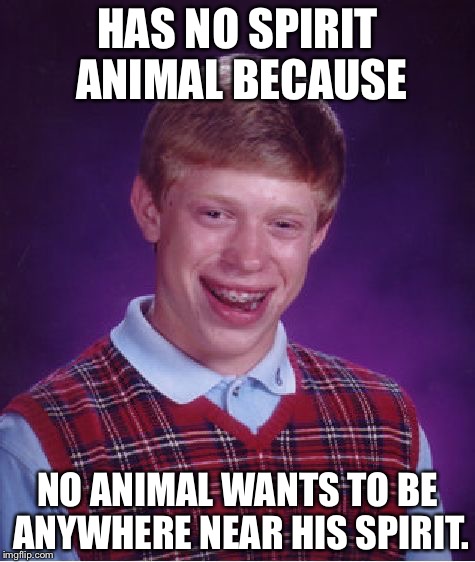 Bad Luck Brian | HAS NO SPIRIT ANIMAL BECAUSE; NO ANIMAL WANTS TO BE ANYWHERE NEAR HIS SPIRIT. | image tagged in memes,bad luck brian | made w/ Imgflip meme maker