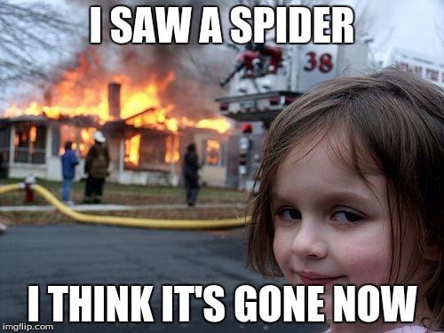 Disaster Girl Meme | I SAW A SPIDER; I THINK IT'S GONE NOW | image tagged in memes,disaster girl | made w/ Imgflip meme maker