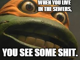 Horrible things. | WHEN YOU LIVE IN THE SEWERS, YOU SEE SOME SHIT. | image tagged in memes,funny face,teenage mutant ninja turtles,funny meme | made w/ Imgflip meme maker