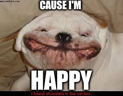 CAUSE I'M; HAPPY | image tagged in happy,dog | made w/ Imgflip meme maker