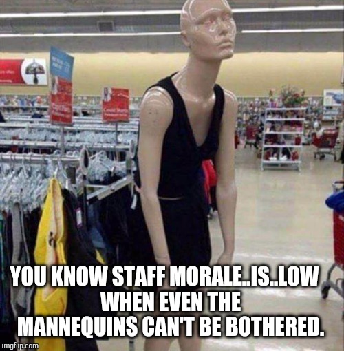 Teenage mannequin | YOU KNOW STAFF MORALE..IS..LOW

 WHEN EVEN THE MANNEQUINS CAN'T BE BOTHERED. | image tagged in teenage mannequin,dummy,teenagers,morale,kevin | made w/ Imgflip meme maker