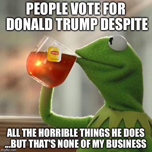 But That's None Of My Business | PEOPLE VOTE FOR DONALD TRUMP DESPITE; ALL THE HORRIBLE THINGS HE DOES ...BUT THAT'S NONE OF MY BUSINESS | image tagged in memes,but thats none of my business,kermit the frog | made w/ Imgflip meme maker