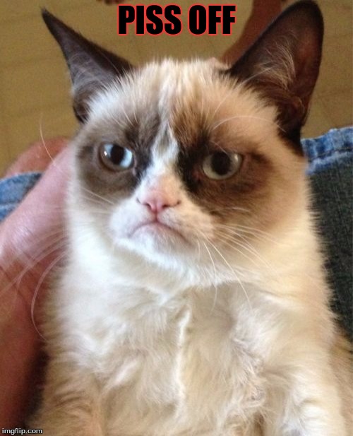 Grumpy Cat | PISS OFF | image tagged in memes,grumpy cat,alex | made w/ Imgflip meme maker