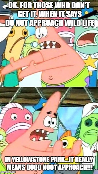 Put It Somewhere Else Patrick | OK. FOR THOSE WHO DON'T GET IT. WHEN IT SAYS DO NOT APPROACH WILD LIFE; IN YELLOWSTONE PARK...IT REALLY MEANS DOOO NOOT APPROACH!!! | image tagged in memes,put it somewhere else patrick | made w/ Imgflip meme maker