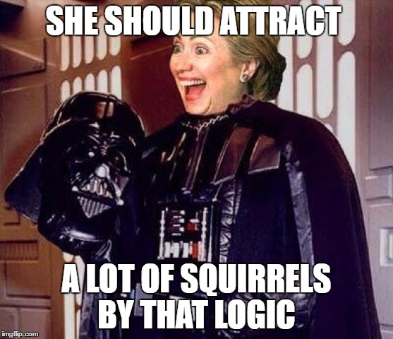 hillary clinton darkside | SHE SHOULD ATTRACT A LOT OF SQUIRRELS BY THAT LOGIC | image tagged in hillary clinton darkside | made w/ Imgflip meme maker