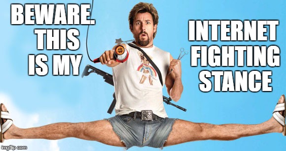 THIS IS MY; INTERNET FIGHTING STANCE image tagged in internet fight made w/...
