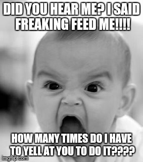 Angry Baby Meme | DID YOU HEAR ME? I SAID FREAKING FEED ME!!!! HOW MANY TIMES DO I HAVE TO YELL AT YOU TO DO IT???? | image tagged in memes,angry baby | made w/ Imgflip meme maker