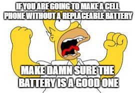 Homer | IF YOU ARE GOING TO MAKE A CELL PHONE WITHOUT A REPLACEABLE BATTERY; MAKE DAMN SURE THE BATTERY IS A GOOD ONE | image tagged in homer | made w/ Imgflip meme maker