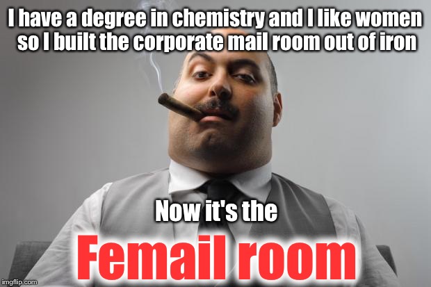 Scumbag Boss | I have a degree in chemistry and I like women so I built the corporate mail room out of iron; Now it's the; Femail room | image tagged in scumbag boss,memes,mail,corporations,lol | made w/ Imgflip meme maker