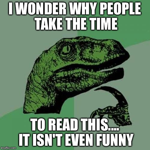Philosoraptor Meme | I WONDER WHY PEOPLE TAKE THE TIME; TO READ THIS.... IT ISN'T EVEN FUNNY | image tagged in memes,philosoraptor | made w/ Imgflip meme maker