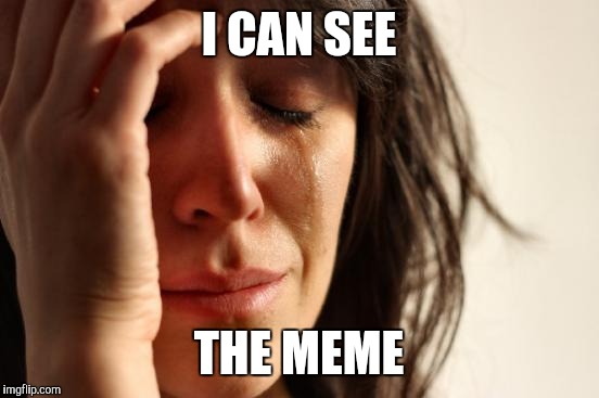 First World Problems Meme | I CAN SEE THE MEME | image tagged in memes,first world problems | made w/ Imgflip meme maker