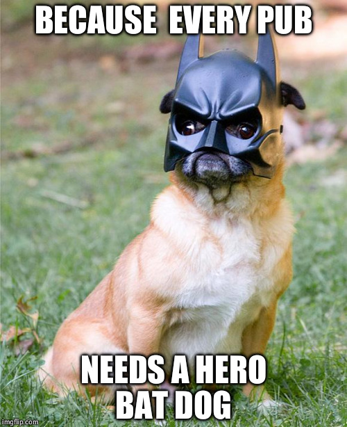 Batman Pug | BECAUSE  EVERY PUB; NEEDS A HERO BAT DOG | image tagged in batman pug | made w/ Imgflip meme maker