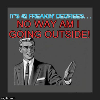 IT'S 42 FREAKIN' DEGREES. . . NO WAY AM I GOING OUTSIDE! | made w/ Imgflip meme maker