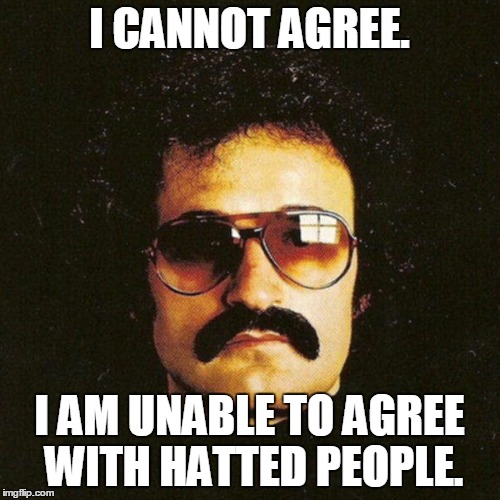 Giorgio Moroder cool mustache | I CANNOT AGREE. I AM UNABLE TO AGREE WITH HATTED PEOPLE. | image tagged in giorgio moroder cool mustache | made w/ Imgflip meme maker