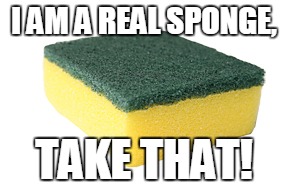 I AM A REAL SPONGE, TAKE THAT! | made w/ Imgflip meme maker