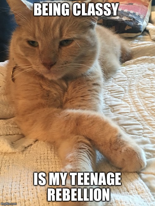 BEING CLASSY; IS MY TEENAGE REBELLION | image tagged in ryan | made w/ Imgflip meme maker