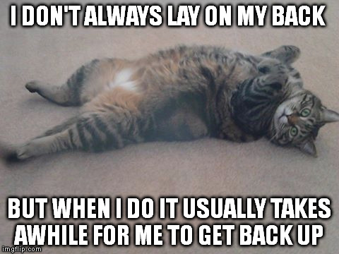 Lazy cat | I DON'T ALWAYS LAY ON MY BACK; BUT WHEN I DO IT USUALLY TAKES AWHILE FOR ME TO GET BACK UP | image tagged in cat,fat cat,lazy cat | made w/ Imgflip meme maker