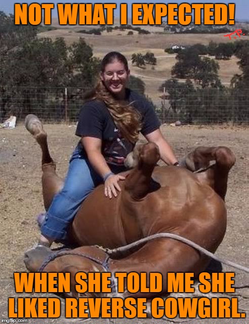 reverse cowgirl | NOT WHAT I EXPECTED! WHEN SHE TOLD ME SHE LIKED REVERSE COWGIRL. | image tagged in original meme,innuendo,funny,funny meme,animal,sexual | made w/ Imgflip meme maker