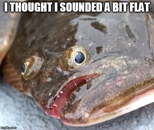 I THOUGHT I SOUNDED A BIT FLAT | made w/ Imgflip meme maker