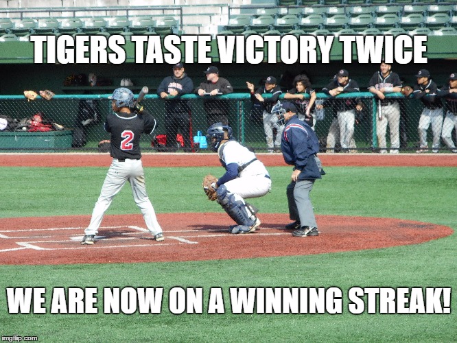TIGERS TEAR UP CHELSEA | TIGERS TASTE VICTORY TWICE; WE ARE NOW ON A WINNING STREAK! | image tagged in baseball | made w/ Imgflip meme maker