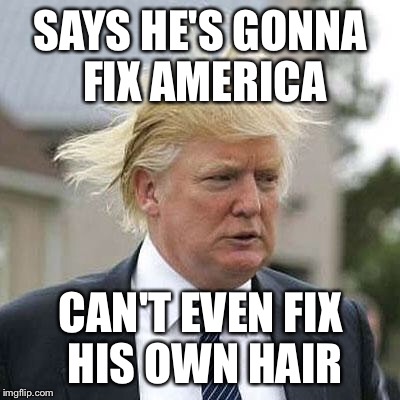 Donald Trump | SAYS HE'S GONNA FIX AMERICA; CAN'T EVEN FIX HIS OWN HAIR | image tagged in donald trump | made w/ Imgflip meme maker