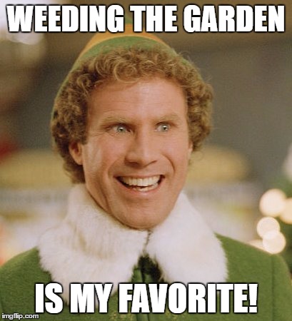 Buddy The Elf | WEEDING THE GARDEN; IS MY FAVORITE! | image tagged in memes,buddy the elf | made w/ Imgflip meme maker